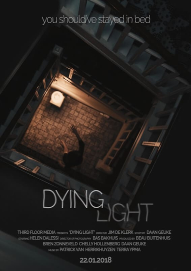 Dying Light Poster