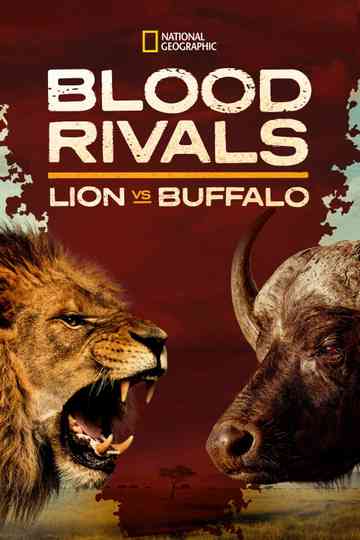 Blood Rivals: Lion vs Buffalo