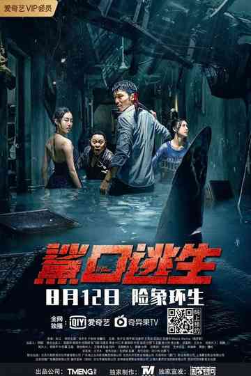 Escape of Shark