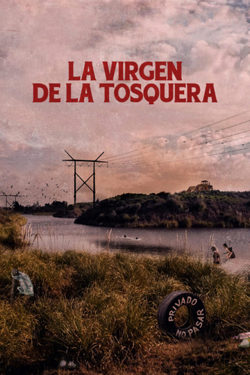 The Virgin of the Quarry Lake Poster