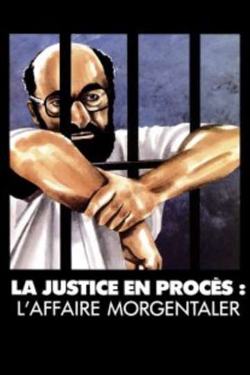 Democracy on Trial The Morgentaler Affair