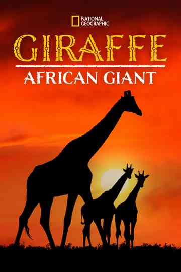 Giraffe African Giant