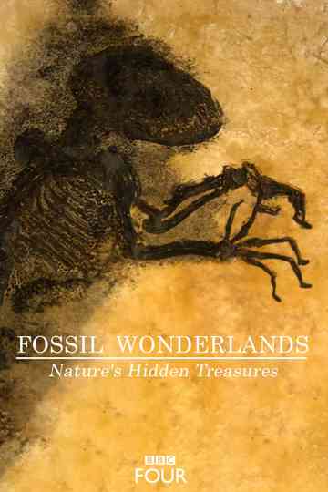 Fossil Wonderlands: Nature's Hidden Treasures