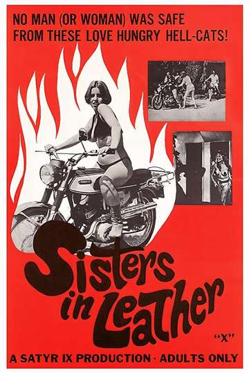 Sisters in Leather Poster