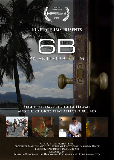 6B An Anthology of Hawaii Films