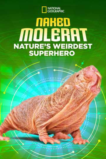 Naked Molerat Natures Weirdest Superhero