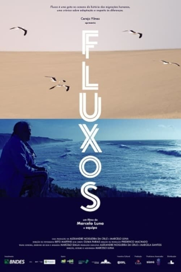 Fluxos