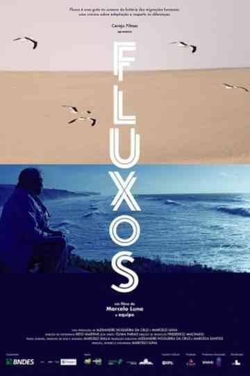 Fluxos