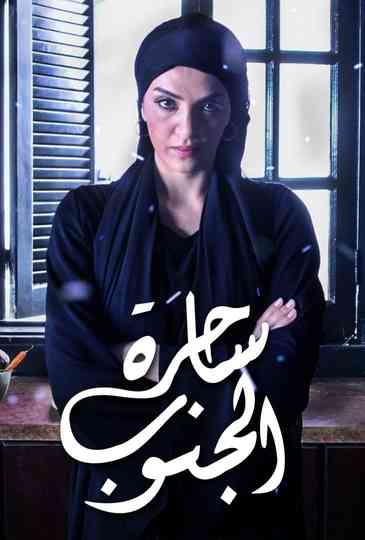 The Witch of the South poster