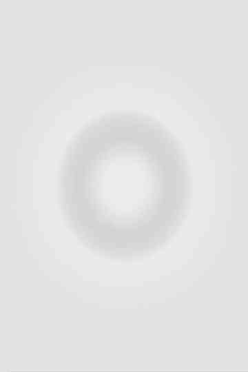 The Taj Mahal Poster