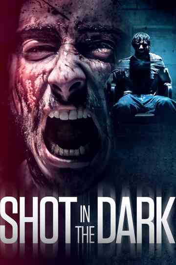 Shot in the Dark