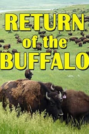 The Return of the Buffalo Restoring the Great American Prairie