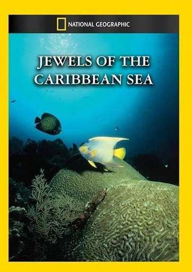 Jewels of the Caribbean Sea Poster