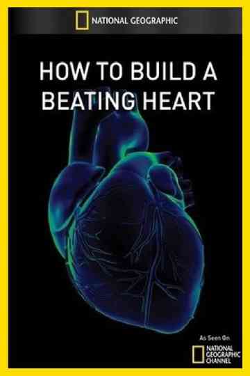 How to Build A Beating Heart
