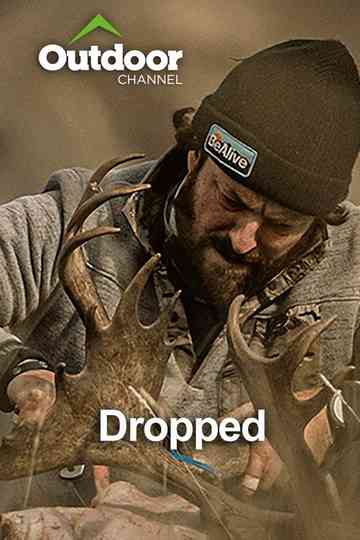 Dropped Poster