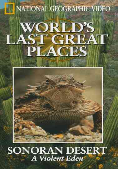 The Sonoran Desert: A Violent Eden