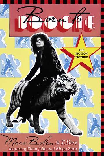 Marc Bolan  T Rex  Born to Boogie