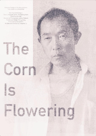 The Corn is Flowering Poster