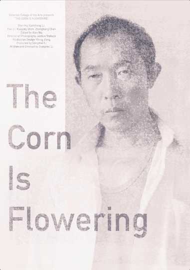 The Corn is Flowering Poster