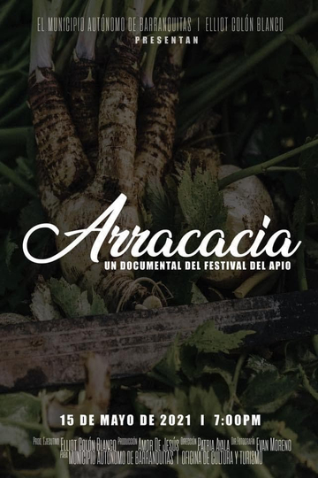 Arracacia A Celery Festival Documentary