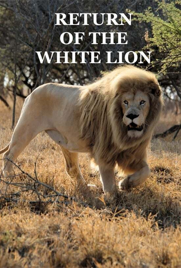 Return of the White Lion Poster