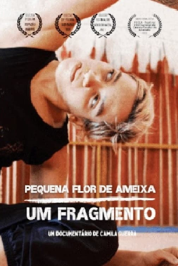 Pequena flor de ameixa: um fragmento