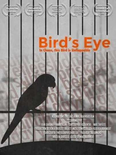Birds Eye Poster