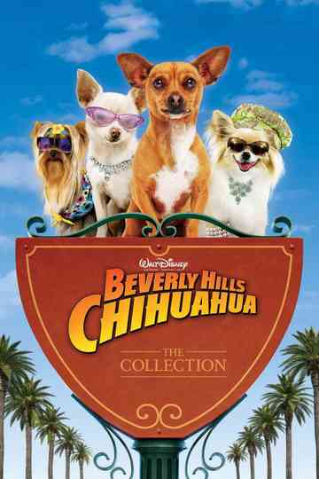 Beverly Hills Chihuahua Collection Poster