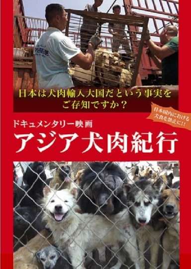 Asian Dog Meat Report Poster
