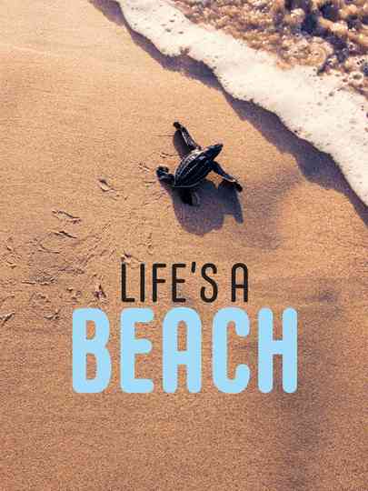 Lifes a Beach