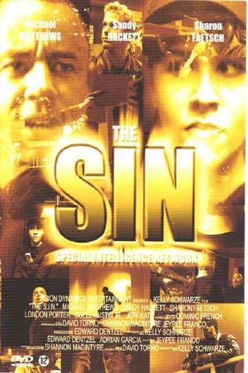 The S.I.N. Poster