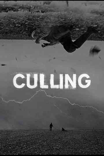 Culling Poster