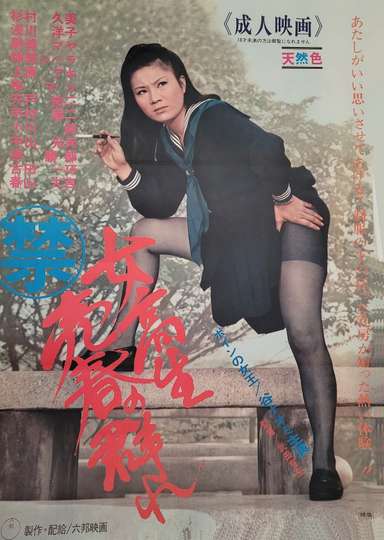 Schoolgirl Prostitution Group Poster