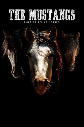 The Mustangs Americas Wild Horses