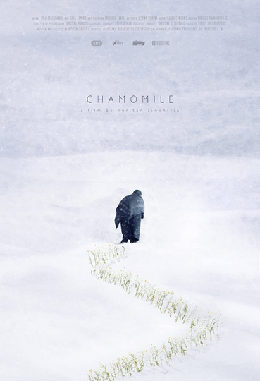 Chamomile Poster