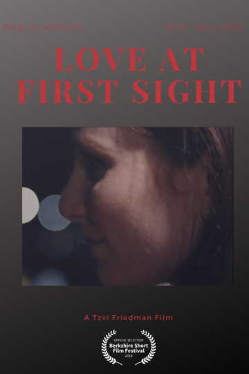 Love at First Sight Poster