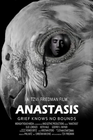 Anastasis Poster