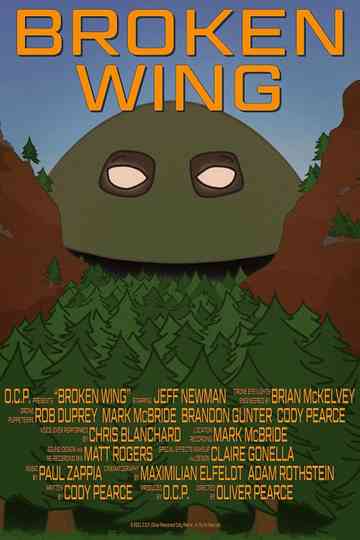Broken Wing