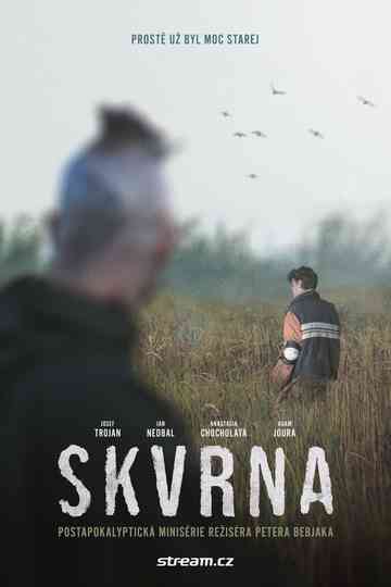 Skvrna Poster