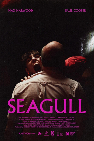 Seagull Poster