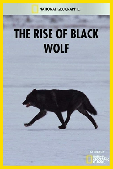 The Rise of Black Wolf