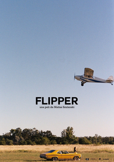 Flipper Poster