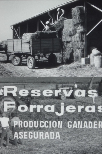 Reservas forrajeras producción ganadera asegurada Poster