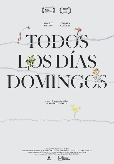 todos los días domingos Poster