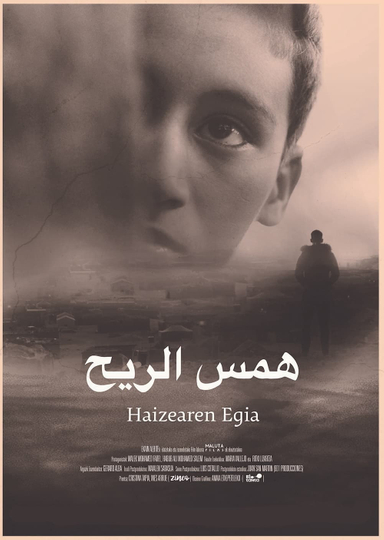 Haizearen egia Poster