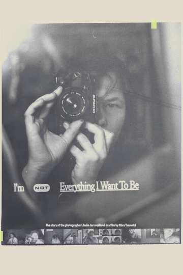 I'm Not Everything I Want to Be Poster