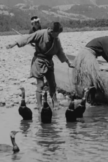 Fishing with Cormorants. Isle of Yeso, Japan