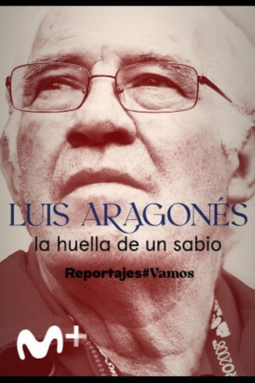 Luis Aragonés, la huella de un sabio