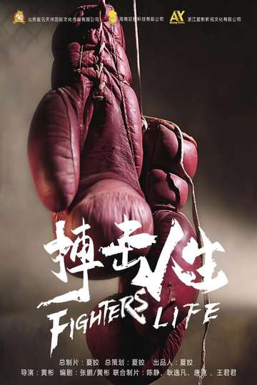 Fighting Life Poster