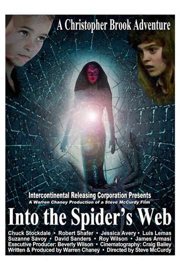 Into the Spiders Web Poster
